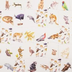 Aussie Animal Match; A Memory Game -Baby Products Store AussieAnimalMatchMemory6 TheSmallFolk