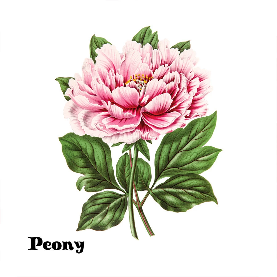 Beautiful Blossoms Memory Game 5 Beautiful Blossoms Memory Game - Image 3