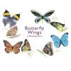 Butterfly Wings; A Matching Game 2 Butterfly Wings; A Matching Game -Baby Products Store ButterflyWingsMatchingGame TheSmallFolk