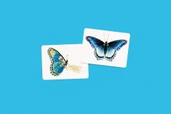 Butterfly Wings; A Matching Game -Baby Products Store ButterflyWingsMatchingGame3 TheSmallFolk