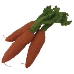 Carrot