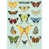 Vintage-style Poster - Papillons -Baby Products Store Cavallini CoBlueButterflyPoster TheSmallFolk