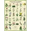 Vintage-style Poster - Botanic Garden