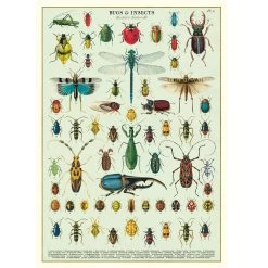 Vintage-style Poster - Bugs & Insects