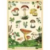 Vintage-style Poster - Foraging 2 Vintage-style Poster - Foraging -Baby Products Store Cavallini CoForagingPoster TheSmallFolk