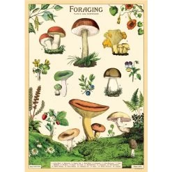 Vintage-style Poster - Foraging