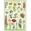 Vintage-style Poster - Pollinator Garden -Baby Products Store Cavallini CoPollinatorGardenPoster TheSmallFolk