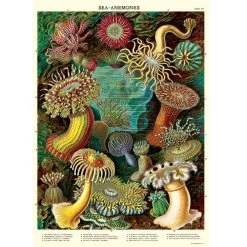 Vintage-style Poster - Sea Anemone