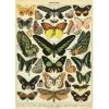 Vintage-style Poster - Butterfly 2 Vintage-style Poster - Butterfly -Baby Products Store Cavallini Co Butterflies Poster The Small Folk