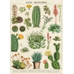 Vintage-style Poster - Cacti