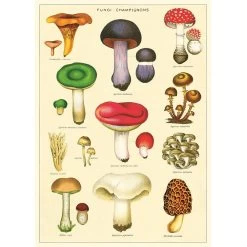 Vintage-style Poster - Mushrooms