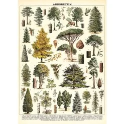 Vintage-style Poster - Trees