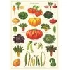 Vintage-style Poster - Vegetables 2 Vintage-style Poster - Vegetables -Baby Products Store Cavallini Co Vegetable Garden Poster The Small Folk