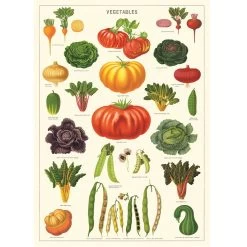 Vintage-style Poster - Vegetables