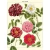 Vintage-style Poster - Flowers -Baby Products Store Cavallini Poster Flowers The Small Folk