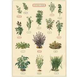Vintage-style Poster - Herbs