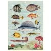 Vintage-style Poster - Tropical Fish -Baby Products Store Cavallini Poster Tropical Fish The Small Folk