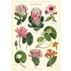 Vintage-style Poster - Tropical Flowers