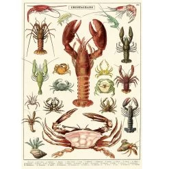 Vintage-style Poster - Crustaceans