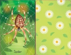 Garden Snap -Baby Products Store GardenSnap3 TheSmallFolk