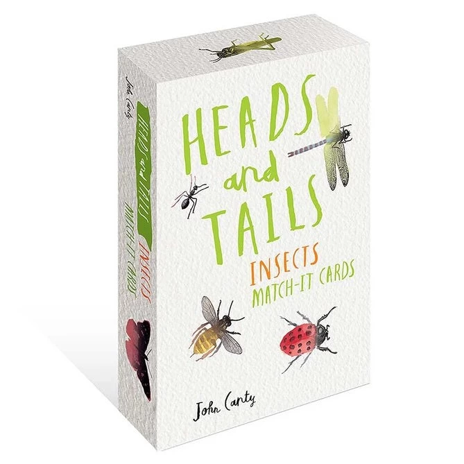 Heads And Tails Insect Match-it Cards 3 Heads And Tails Insect Match-it Cards