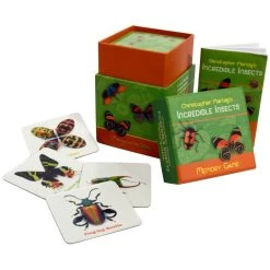Incredible Insects Memory Game
