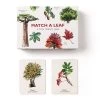 Match A Leaf Memory Game -Baby Products Store Match a Leaf Memory Game The Small Folk