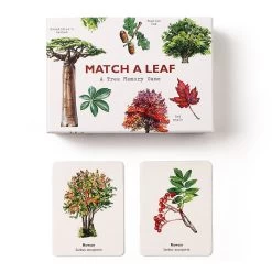 Match A Leaf Memory Game