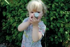 Ocean Life Dough Rollers -Baby Products Store OceanDoughRollerYellowDoor9 TheSmallFolk