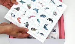 Ocean Bingo 13 Ocean Bingo -Baby Products Store Ocean Bingo 6 The Small Folk