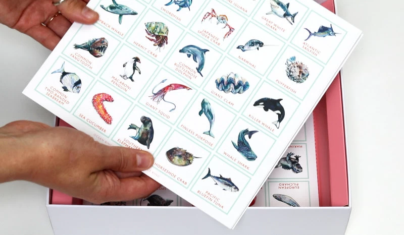 Ocean Bingo 8 Ocean Bingo - Image 6