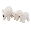 Polar Bear Family