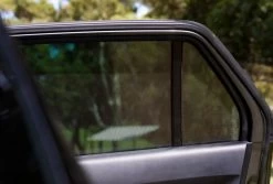 Toddler Tints 21 Toddler Tints -Baby Products Store Toddler Tints Just Black