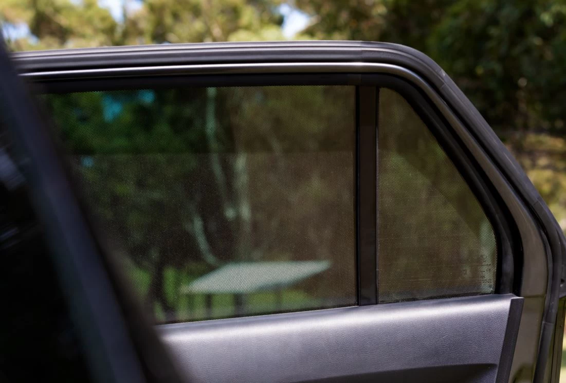 Toddler Tints 11 Toddler Tints - Image 9