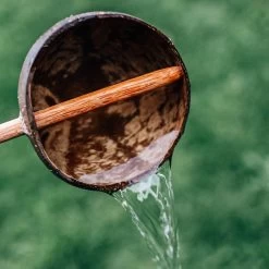 Solid Coconut Scoop; Long Handle