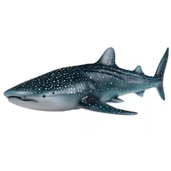 Whale Shark