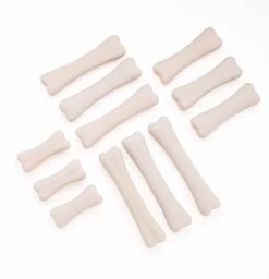 Dinosaur Bones Discovery Set