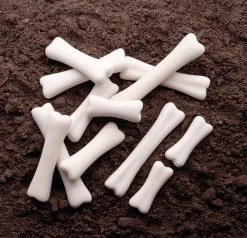 Dinosaur Bones Discovery Set -Baby Products Store YellowDoorDinosaurBonesDiscoverySet2 TheSmallFolk